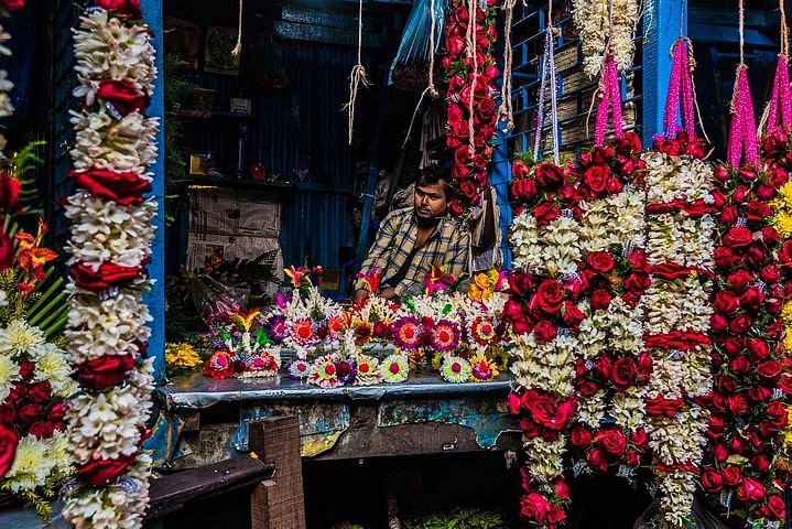 Colours, Clay & Chaos Walk